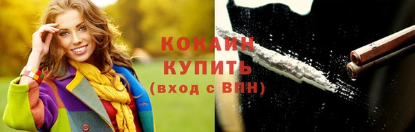 прущая мука Вяземский